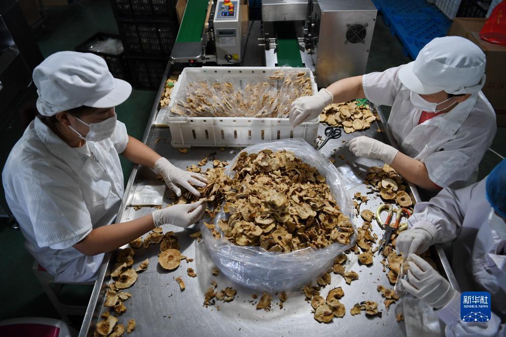 电子游戏平台注册送分